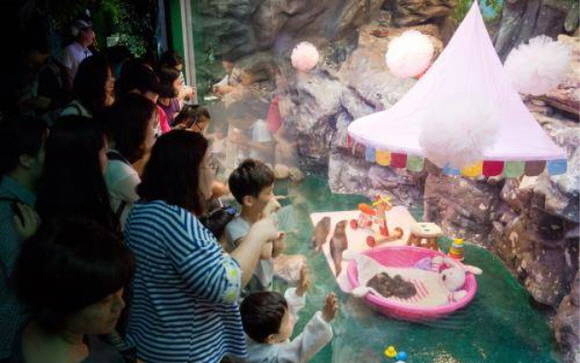 ▲롯데월드 대형 수족관에 있는 아기 수달을 보러 온 사람들의 모습이에요. ⓒ 롯데월드