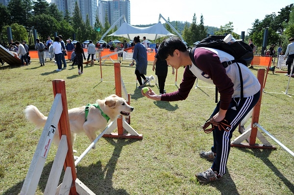 지난해 10월 삼평동 화랑공원서 열린 성남 반려동물 페스티벌 모습. ⓒ 성남시