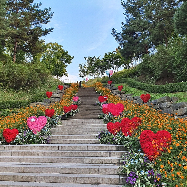 백범 광장 입구 남산공원 계단에 꾸며진 장미화원이에요. ⓒ휴먼에이드포스트