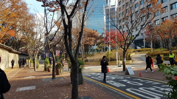덕수깅 돌담길에서 시민들이 가을의 낭만을 느끼면서 산책해요. ⓒ 송창진 기자