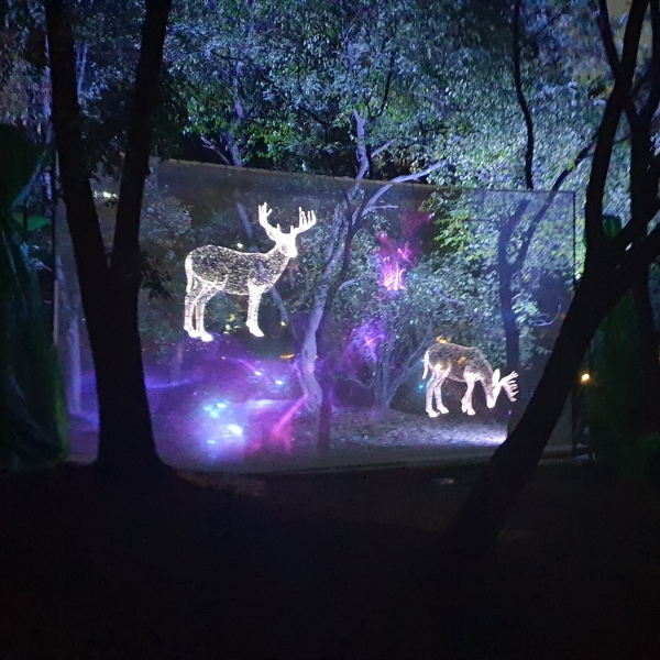 '숲의 이야기'에 등장하는 십장생 중 사슴의 영상이에요. ⓒ 김종현 기자