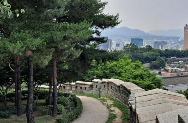 돌로 둘러싸인 성곽 너머 서울 시가지가 보여요. ⓒ 김예준 수습기자