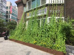 가든프로젝트, 시흥시에 국내 최대 규모의 그린커튼 조성