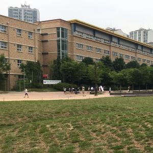 용인시, 내꽃근린공원 잔디광장 재정비