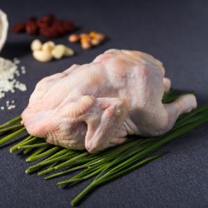 KMI한국의학연구소, '캠필로박터 식중독' 예방을 위한 닭 요리 시 주의사항 공유