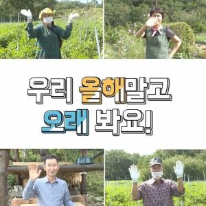충북도 추석맞이 '고향에서 온 편지' …감동영상 '눈길'