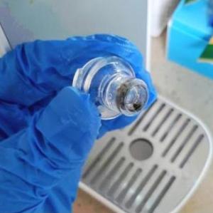 일부 가정용 정수기 물에서 대장균군 검출