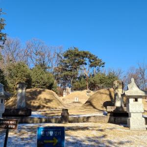 서울의 역사유적지를 찾아서⑮ 서울 연산군묘