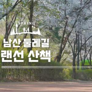 남산 둘레길에 찾아온 봄 영상으로 만끽한다…유튜브에 공개