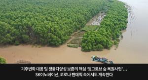 [쉬운말 뉴스] SK이노베이션, 맹그로브 숲을 원래대로 돌리기 위한 일 계속해요