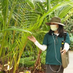 [쉬운말 뉴스] 서울식물원에서 여름방학 맞아 '우리집 식물 알아보기' 수업을 진행해요