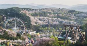에버랜드 SNS 설문조사…한국인이 가장 좋아하는 봄꽃은 '벚꽃'