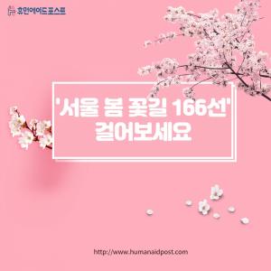 '서울 봄 꽃길 166선' 걸어보세요