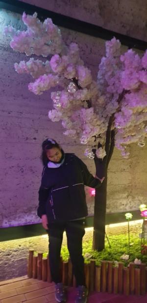 [포토] 김해와인동굴에서 벚꽃과 함께