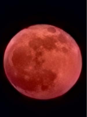 [포토] 신비로운 붉은 달 '스트로베리 문'